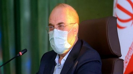 قالیباف: در غنی سازی ۲۰ درصدی از برنامه جلوتریم