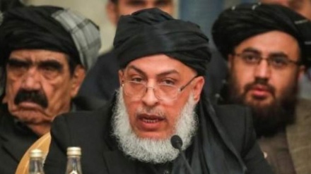 طالبان: اشرف غنی مانع صلح در افغانستان است + ویدئو