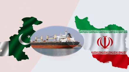 伊巴强调发展贸易互动