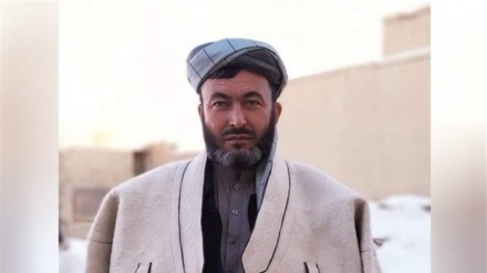 اعزام هیئتی برای بررسی قتل عضو شورای ولایتی غور 