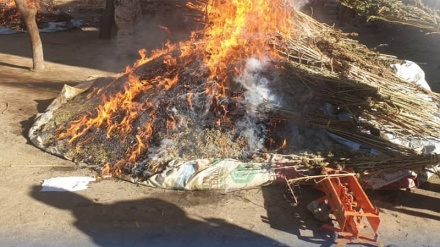 به آتش کشیدن ۴۲ هزار کیلوگرم مواد مخدر در ولایت ننگرهار