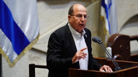 זיגזג של דמות אפרורית