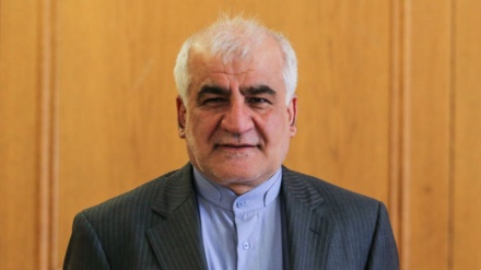 凯沙瓦扎德：发展伊中关系已提上日程