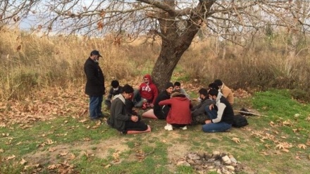 Adana'da 13 düzensiz göçmen yakalandı