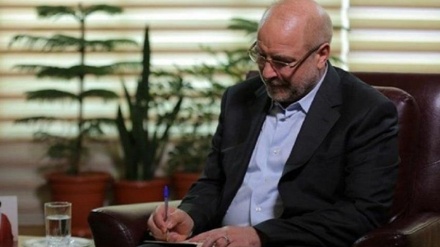 קליבאף גינה את פיגוע הטרור בבגדאד