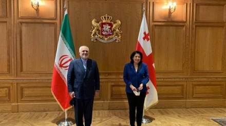 扎里夫与格鲁吉亚总统会晤