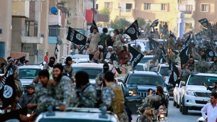 ¿Daesh intenta regresar a sus andanzas?