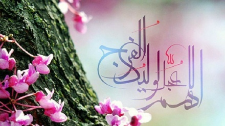 Tosə Zuhuri Cımə-38