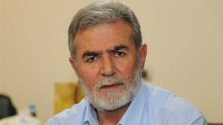 齐亚德·纳克哈拉：抵抗组织是威慑犹太复国主义的因素