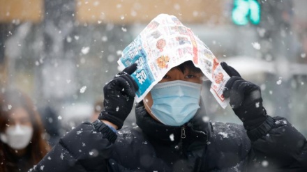首起巴西变种冠病毒株病例发现在韩国