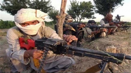 کشته شدن 14طالب مسلح در ولایت بدخشان 