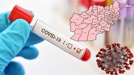ثبت 104مبتلای جدید به کرونا در افغانستان