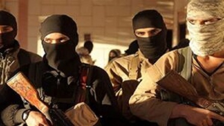 بازداشت یکی از سرکردگان  اصلی داعش در جنوب غرب یمن 