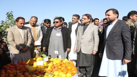 نمایشگاه تولیدات وطنی در ولایت ننگرهار+ صوت