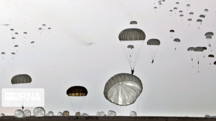 נסתיימו תמרוני 