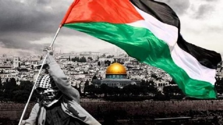 Tähranda Kudsy we Palestinani goldaýan webinar ýygnagynyň geçirilmegi