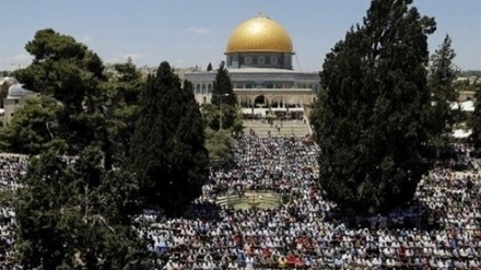 Теҳрон Фаластин ва Қудсни қўллаб-қувватловчи веб-семинар йиғилишига мизбонлик қилади 