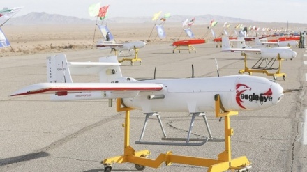 השקת תמרוני המל