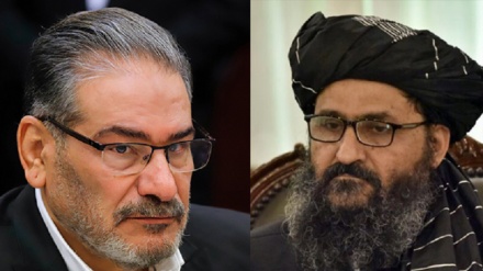 Şamhani: ABŞ-nyň Owganystandaky strategiýasy urşy we gan döküşligi dowam etdirmekdyr