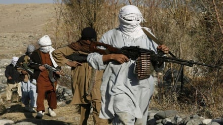 کشته شدن طالبان در حملات هوایی ننگرهار