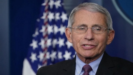 Fauci says he was the 'skunk at the picnic' in Trump's COVID team