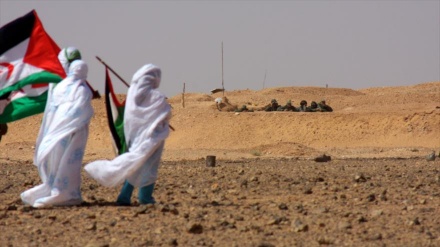 Frente Polisario ataca con misiles puestos militares de Marruecos