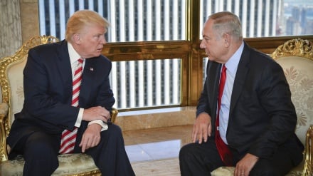 הראינקרנציה של הגולמים