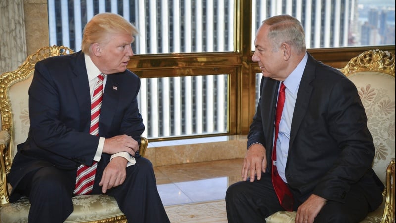 הראינקרנציה של הגולמים