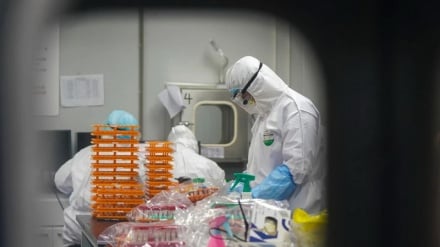 Информационный бюллетень: деятельность в Уханьском институте вирусологии 