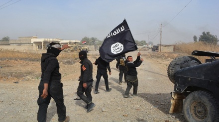 Bukti Baru Hubungan AS dengan Daesh