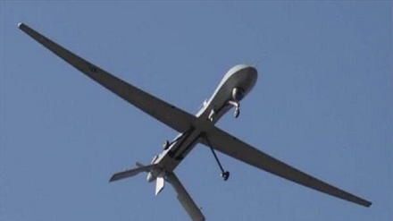 Resistencia palestina derriba un dron israelí en el sur de Gaza 