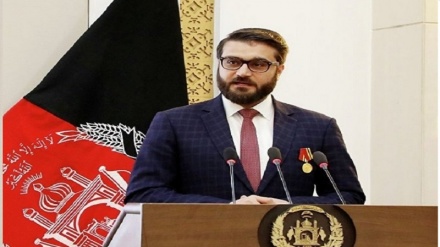 افغانستان: طالبان برخلاف دولت در پی صلح نیست