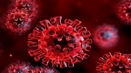 شناسایی گونه جدید ویروس کرونا در ژاپن