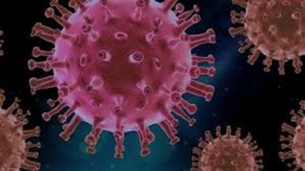 Media Brasile, per Oms variante può eludere anticorpi