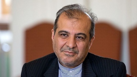 伊朗与红十字国际委员会举行会议