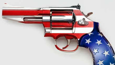 世界爆发疫情期间，美国武器销售大幅增长