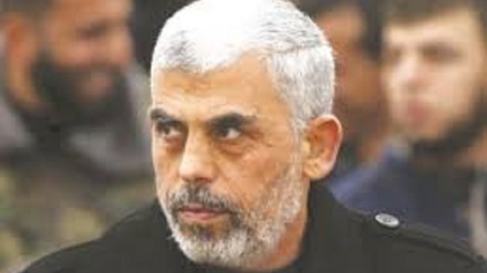 יחיא סינוואר: מזהירים את ישראל משיבוש הבחירות הפלסטיניות