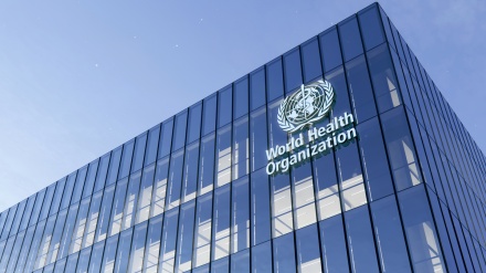 世卫组织就新冠病毒在2019年更早时间的新报告