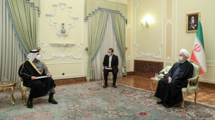 鲁哈尼：通过区域各国的合作确保安全与和平