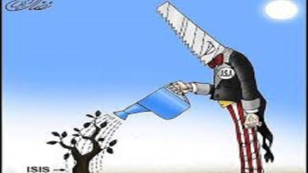 (VIGNETTE) No comment