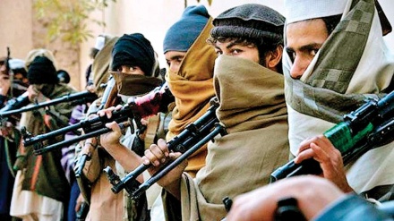 کشته و زخمی شدن بیش از 200 عضو گروه طالبان در افغانستان