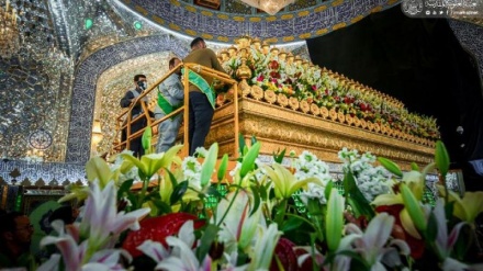 Vendosen lule pranë varrit të Imam Aliut (a.s.) me rastin e përvjetorit të lindjes së Hazreti Fatime (s.a.)