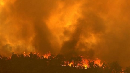 澳珀斯郊区野火烧毁数十处住宅