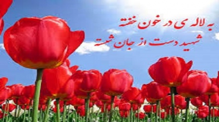 'Sangue del Tulipano', l'inno della Rivoluzione Islamica dell'Iran (Video Music)