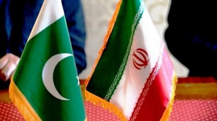 巴基斯坦内政部长强调发展伊巴双边关系