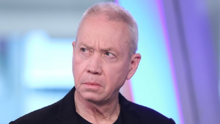 מפלגת מרצ מקיימת הפגנה בקריאה לפיטוריו של גלנט