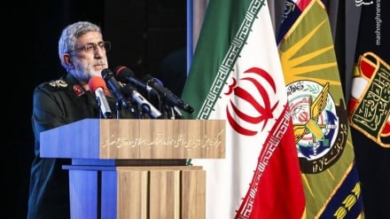 卡尼准将：抵抗烈士的牺牲将为解放古都斯圣城铺平道路