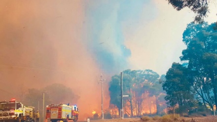 澳大利亚州西方的森林大火（图集）