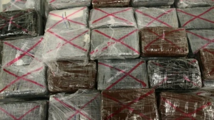 Germania, 16 tonnellate di cocaina sequestrate: record europeo 