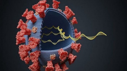 胡齐斯坦省长：伊朗关闭萨拉穆切及查泽白边界